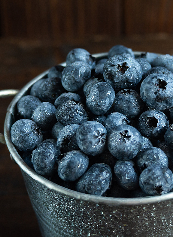 blueberry-03 Blueberries