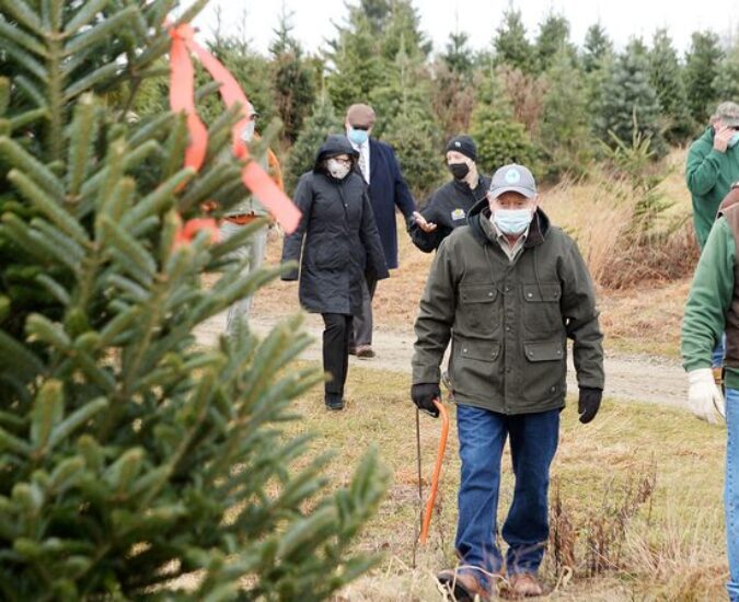 Event to promote local Christmas tree cutting at Goderie’s Tree Farm in Johnstown