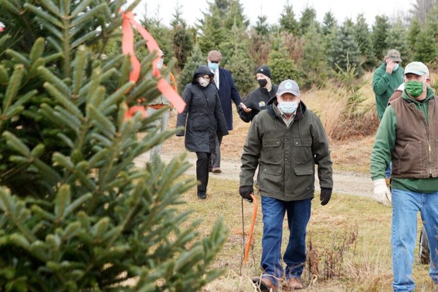 Event to promote local Christmas tree cutting at Goderie’s Tree Farm in Johnstown