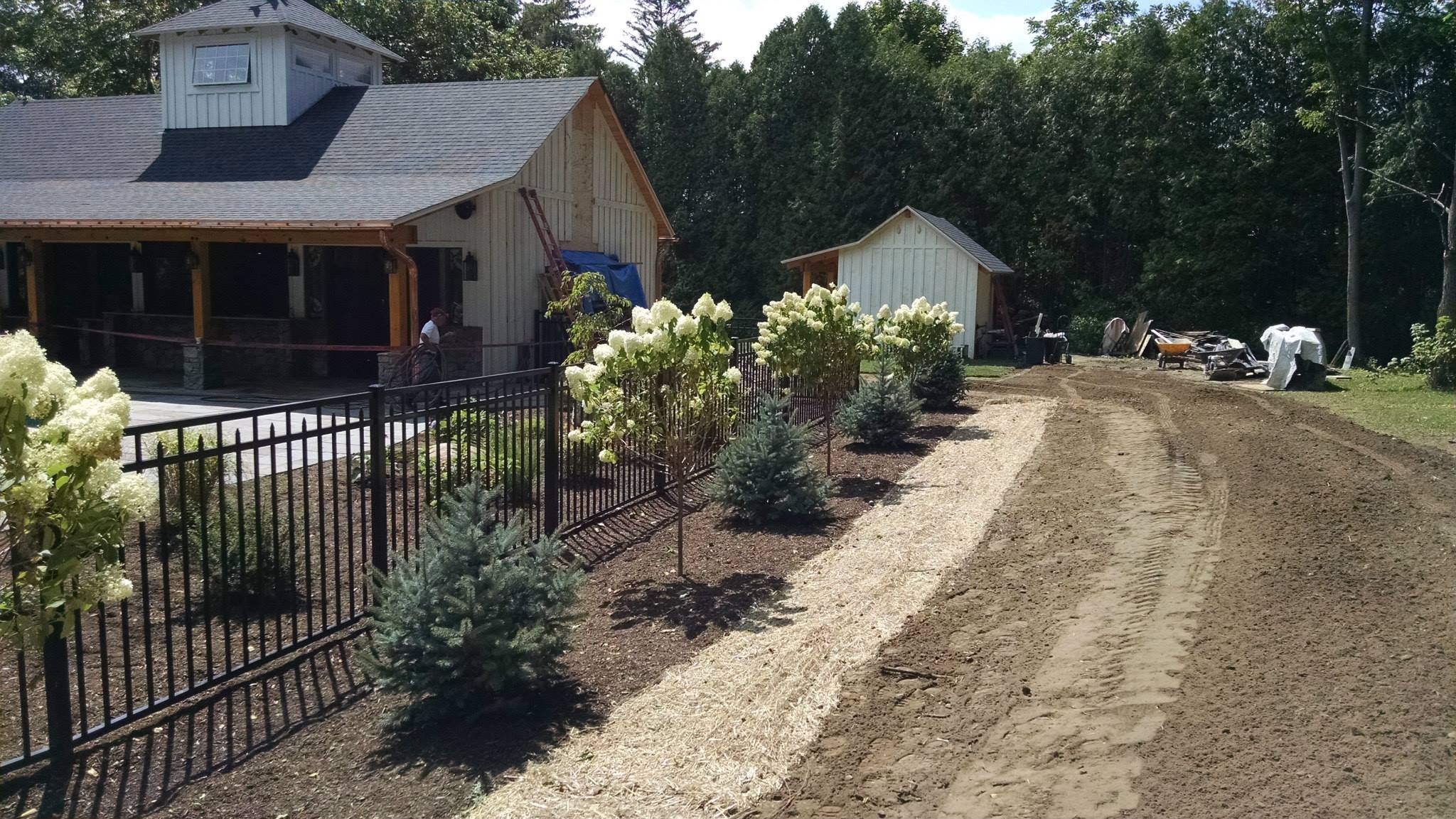 Paddle Wire - Goderie's Tree Farm