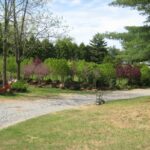 Landscaping Gallery