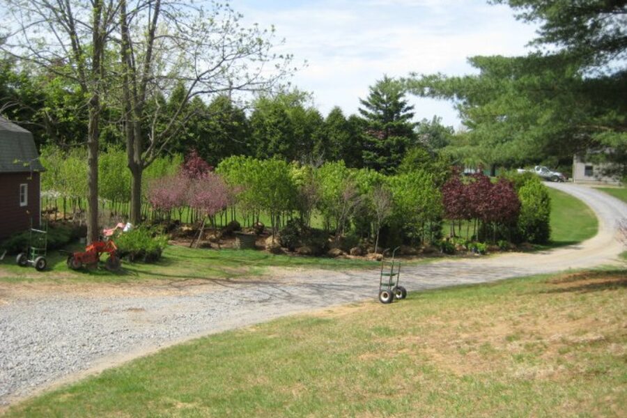 nursery