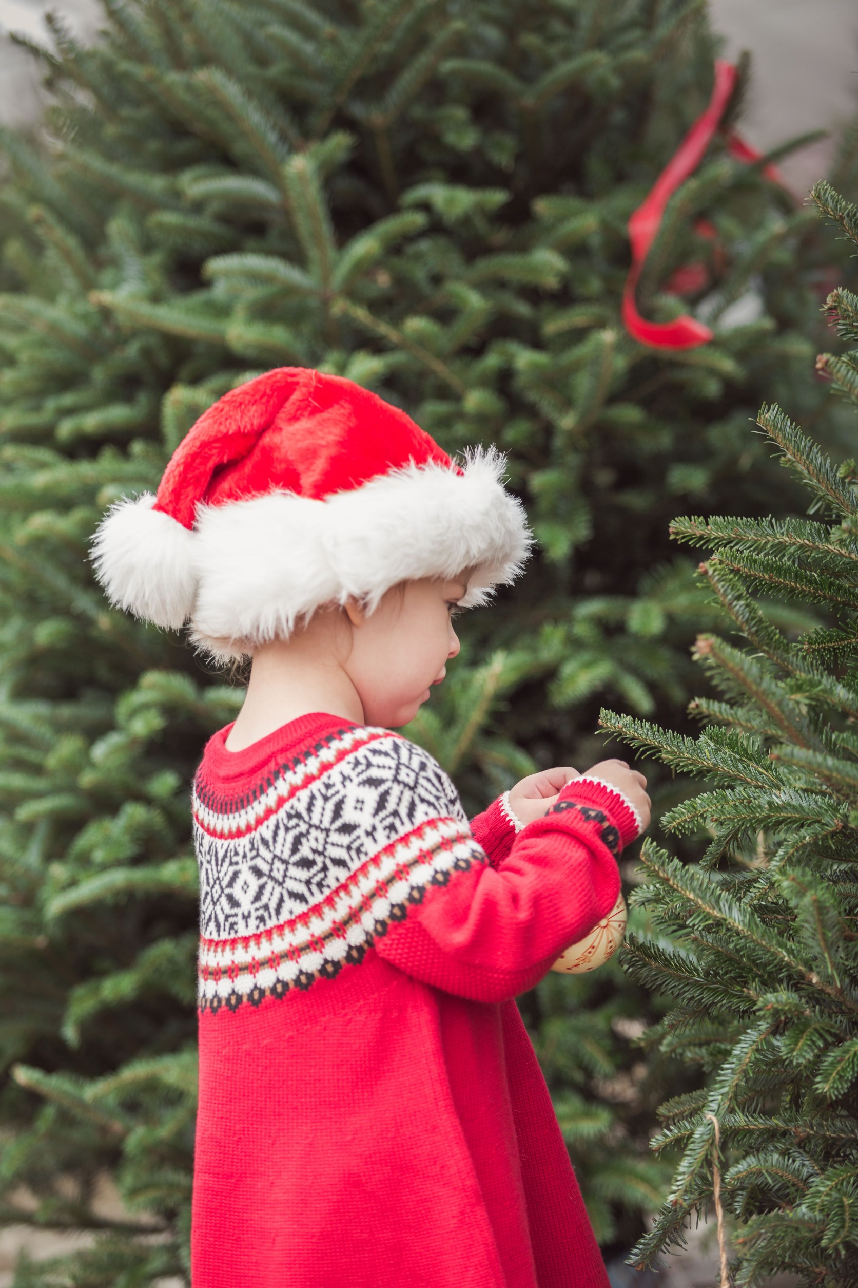 tag-tree Pre tag your Tree